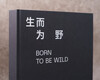 Born to be wild (conveying the power of life, selected from the 4 years of the China Wildlife Image Annual Competition, 219 natural photography works. Interpretation of wild nature, five-color printing, vivid details.)