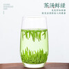 Fragrant Yun Que Tea Green Tea 2025 New Tea Spring Tea Mingqian Guizhou Origin Que Tea Meitan Maojian Bag 250g