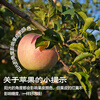 Jingxiansheng Shanxi rock candy heart apple, net weight 4.5 catties, single fruit 80mm+, fresh fruit straight from the source