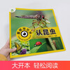 Recognize insects and see the world through children's eyes. Children aged 0-3-6-9 look at pictures and recognize objects. Encyclopedia of cognition