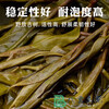 Yanhai Tianzhuqing 500 Bitter Bamboo Mountain Ancient Tree Pure Tea Yunnan Pu'er 200g Tea Cake Dragon Boat Festival 200g Tea Cake Nian