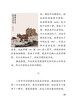 White Goose, Volume 2 for Grade 4, by Feng Zikai, Illustrated Edition, People's Education Press Text Writer Series, Supporting Readings for Chinese Textbooks, The work of the same name is included in Chinese textbooks for primary and secondary schools