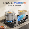 Robam bilateral timing small size JZT-23BD-E1 high power 5.2kW gas stove natural gas strong fire stove with hood L1mini