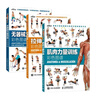 3-volume set, color atlas of stretching training + color atlas of muscle strength training + color atlas of strength training without equipment, sports fitness and bodybuilding training book, fitness book, three volumes, Xinhua Bookstore