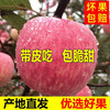 Erdie Shaanxi Red Fuji Apple Fresh Fruit 10 Jin Rock Candy Heart Seasonal Ugly Apple Seasonal Fruit Crisp Sweet Whole Box Selected 9 Jin Pack Net Weight 8.5 Jin 75-80mm