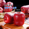 Jingdida Gansu Tianshui Huaniu Apple Fruit Gift Box Holiday Gift 12 Pieces Net Weight 7 Jin Single Fruit 250g + Free Shipping from Source