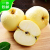 Beijing Fresh Shandong Cream Fuji Apple, net weight 5 pounds, single fruit 75-80mm, fresh fruit, direct shipping from the source, free shipping