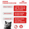 Royal Cat Food British Shorthair Adult Cat Wet Food Soft Pack Canned Cat BSP 12 Months and Over Soup Meat Nuggets 85G*12 Imported
