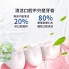Sanjin Watermelon Cream Toothpaste Fresh Breath Deep Cleansing Oral Care Qing Yan Gum Care Classic Tooth Yan Qing Toothpaste