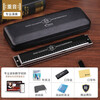 Swan (SWAN) imported gongs 28-hole professional harmonica advanced adult children's musical instrument school season gift 28-hole C polyphony professional performance level