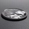 China Gold Coin 2021 Silver Panda Commemorative Coin 2021 Silver Panda Coin Brand New 30g Silver Coin Single with Red Box
