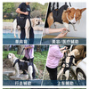 OIMG dog leash portable auxiliary belt for elderly dogs, disabled dog rehabilitation exercise belt, upstairs assistance belt, black L-large