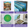 18 yuan off for purchases over 87. Revealing the Underground (popular science flipping book for children aged 3-6) Le Fun Children’s Book Revealing Series Children’s Enlightenment Popular Science Pop-up Books Children’s Book Festival Children’s Day