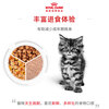 Royal Cat Food Kitten Wet Food Soft Pack Cat Canned KJP General Food April-December Jelly Aspic 85G*12 Imported
