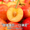 Huaxuan Rainier Golden Cherries 4J grade, next-day delivery to multiple places, large cherry New Year fruit gift box items 3 catties (net weight) Shangchao Fruit 2J grade 28-30mm selection