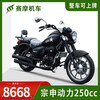 Saimo Prince Motorcycle Rebel 250cc Heavy Duty Motorcycle Sports Car Retro Prince Motorcycle National IV Electronic Injection Can Be Licensed Optional Zongshen Air-cooled 250cc Black Complete Vehicle Model (Net Tire Version)