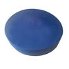 Deer-colored steel pipe plastic pipe cap plug round dust-proof thread blue steel bar protective sleeve pipe inner plug head plug PE inner diameter 13.7mm (pack of 10)