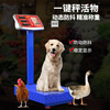 Yongcai (YONGCAI) weighing electronic scale, commercial scale, high-precision electronic scale, rechargeable platform scale, household foldable scale, stall business scale, vegetable selling price counting scale, express scale, industrial scale, 150 kg 30*40 common key digital red letters, no installation needed