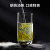 Made in Tokyo 2025 new tea special grade Xinyang Maojian 100g Lixiang Mingqian bud leaf green tea self-operated gift giving