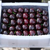 Spot Chilean imported cherries, fresh cherries, seasonal high-end extra large Chilean cherries whole box pregnant woman gift box 1500g (net weight) Fruit King 4J32-34mm