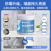 Carbaoli wall repair paste anti-mildew and antibacterial wall repair paste white wall decontamination repair putty powder paste wall peeling waterproof 250g