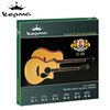 KEPMA KQ01 KEPMA Folk Guitar Phosphor Bronze Strings 8 pieces set with extra 1 string and 3 strings 011-052