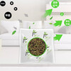 Spring Breeze Tea Stems Small Packet 60 Packs New House Formaldehyde Deodorization Tea Root Deodorization Pack New Car New Furniture Decoration Deodorization