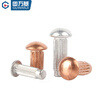 Guwanji aluminum sign rivets GB827 stainless steel knurled aluminum rivets copper nameplate trademark solid rivet fasteners M4x6 (80 pieces) copper material