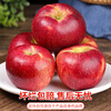 Jingdida Yunnan Zhaotong Ugly Apple Net Weight 5 Jin Single Fruit 75mm + Fresh Crisp Apple Fruit Direct Shipping from the Source