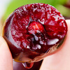 Spot Chilean imported cherries, fresh cherries, seasonal high-end extra large Chilean cherries whole box pregnant woman gift box 1500g (net weight) Fruit King 4J32-34mm