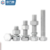 Guwanji Grade 8.8 hot-dip galvanized external hexagon screws and nuts combination set high-strength iron tower hot-dip galvanized bolts national standard M10x50 5 sets