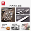 ZWILLING tableware set, spoon, soup spoon, rice spoon, fruit fork, knife and fork, stainless steel coffee spoon, 8-piece Western tableware set