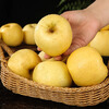 Beijing Fresh Shandong Cream Fuji Apple, net weight 5 pounds, single fruit 75-80mm, fresh fruit, direct shipping from the source, free shipping