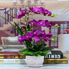 ENRMIIV Phalaenopsis artificial flower set living room ornaments fake flowers coffee table TV cabinet display flower decoration plastic flowers silk flowers 3 purple-red Phalaenopsis 55 cm high