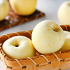 Beijing Fresh Shandong Cream Fuji Apple, net weight 5 pounds, single fruit 75-80mm, fresh fruit, direct shipping from the source, free shipping