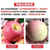 Freshly picked red Fuji apples from Shaanxi are in season, crispy, sweet and ugly apples, rock sugar crispy Fuji apples, whole box, selected 9kg, net weight 8-8.5kg, 80mm and above
