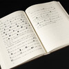 China Academy of Art’s calligraphy textbooks: Notes on the Origin of Ancient Chinese Characters (Volume 1 and 2)