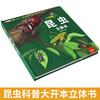 Revealing the Secret of the 3D Flip Book Insect Pop-up Book Children's 3D Pop-up Book Popular Science Encyclopedia Picture Book Storybook Manual and Brain Educational Toys Children's Encyclopedia Comic Version Popular Science Storybook Revealing the Mysterious Insect Kingdom