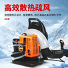 Century Cat backpack gasoline blower engineering road blower wind fire extinguisher high-horsepower snow blower road