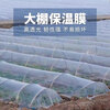 FANCYCHIC white transparent agricultural thickened small shed special film vegetable field insulation film winter 2.2 meters wide 5 wires thick agricultural film 30 meters long