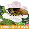 Revealing the Secret of the 3D Flip Book Insect Pop-up Book Children's 3D Pop-up Book Popular Science Encyclopedia Picture Book Storybook Manual and Brain Educational Toys Children's Encyclopedia Comic Version Popular Science Storybook Revealing the Mysterious Insect Kingdom
