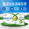 Yili Zhenconcentrated Milk High Calcium 250ml*16 Boxes +50% Calcium Coffee Partner New Year Gift Box
