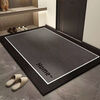 Foyer floor mat, high-end simple entrance door, dirt-resistant and dust-repellent, entrance door mat, thickened entrance mat, non-slip door mat, enjoy life 120cM*160Cm, easy to care for
