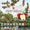 Mu Xiaoqi Fruits and Vegetables Gansu Tianshui Huaniu Noodles Apples Next Day Delivery to Multiple Places Snake Fruit Gift Box New Year’s Gift Box SS+ Grade Rare Fruit King (Single Fruit About 80mm+) 5kg Pack 80% Selection - Super Cost-effective Net 4.5kg*