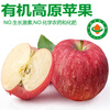 Zhu's Orange Organic Plateau Apple Red Fuji Fresh Fruit High-end Seasonal Apple Whole Box Fresh Gift Box Gift Box 24 Large Fruits for the Family, About 13 Jin in a Box