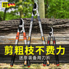 JCZS German precision scissors for pruning branches, fruit tree thick branch pruning scissors, powerful and labor-saving gardening and gardening telescopic thick aluminum pole + two SK5 blades