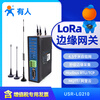 Renmin Internet of Things dual-channel LoRa gateway RS232/485 remote network edge collection MODBUS protocol Ethernet version USR-LG210