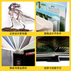 Revealing the 3D Flip Book Dinosaur 3D Book + Comic Tracing Book Dinosaur Planet Children's 3D 3D Book Popular Science Encyclopedia Picture Book Storybook Manual and Brain Education Toy Children's Encyclopedia Comic Version Popular Science Storybook