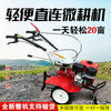 ZF agricultural mini-tiller two-wheel drive diesel rotary tiller weeding, ditching, ridge filling, orchard greenhouse small plot deep tillage machine optional electric start + battery