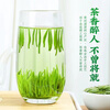 Tea Half-Spring Bird's Tongue Green Tea 2025 New Tea Special Grade Mingqian Spring Tea Emerald Bud Meitan Bird's Tongue Strong Fragrance Tea 125g*2